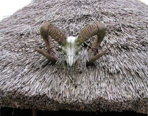 Sheep's skull on thatched roof