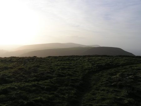 View of clifftop fields in sunset