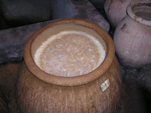 Grape juice fermenting in large open jar